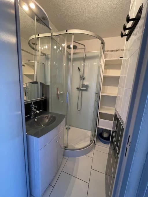 Superbe Appartement 6 Personnes Avec Piscine Secteur Richelieu, A 400M De La Plage Et A 650M Du Centre Port Agde Buitenkant foto